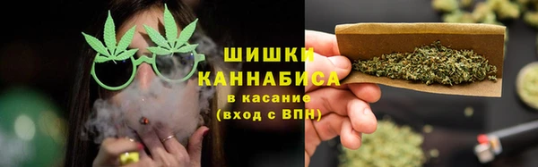 PSILOCYBIN Белокуриха