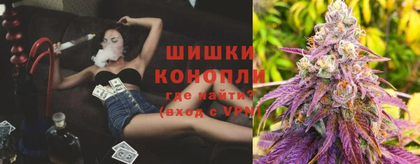 PSILOCYBIN Белокуриха